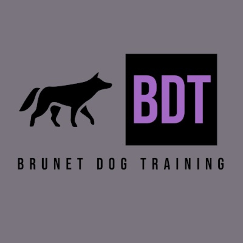 Meet your Posher, Jessy